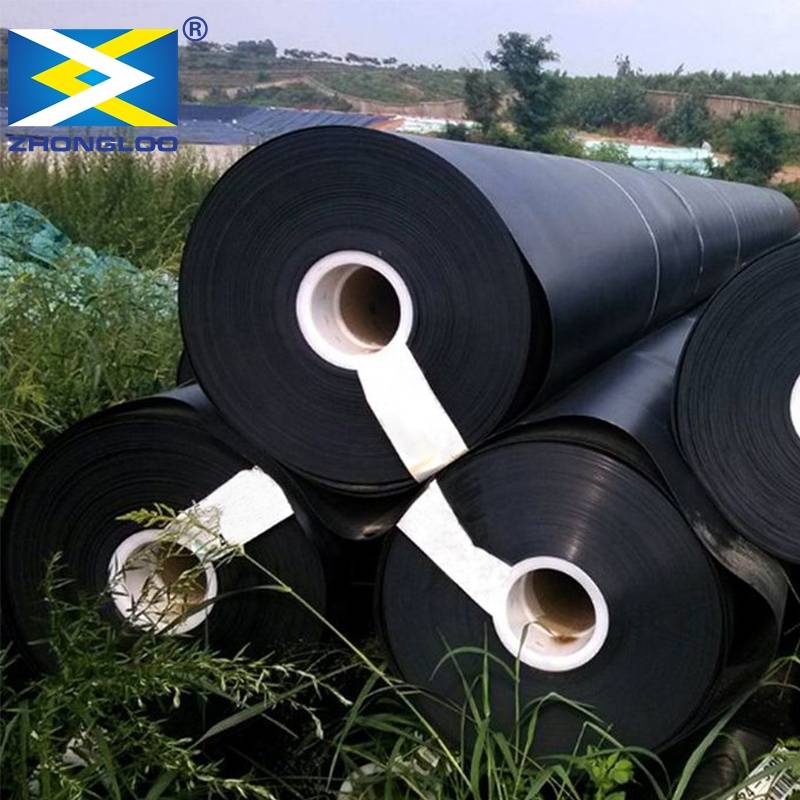 High Quality Hdpe /ldpe/eva/pvc Waterproof Durable Pond Liner Geomembrane Membrane